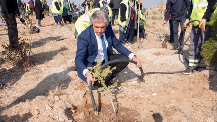 Milli Ağaçlandırma Günü kapsamında 500 fidan toprakla buluşturuldu